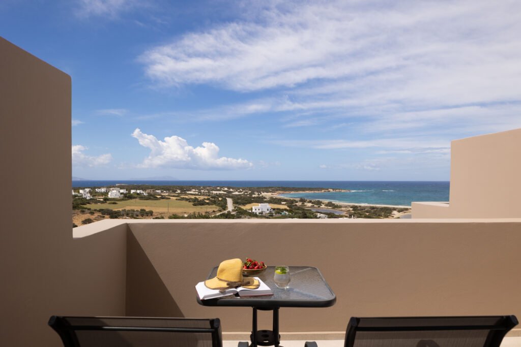 Olive Home 1 Olive Vista Suites Panoramic View